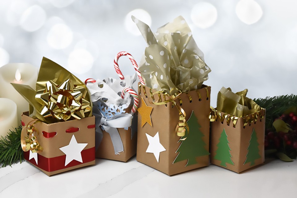 Boîtes-cadeaux en carton de lait | Plaisirs laitiers